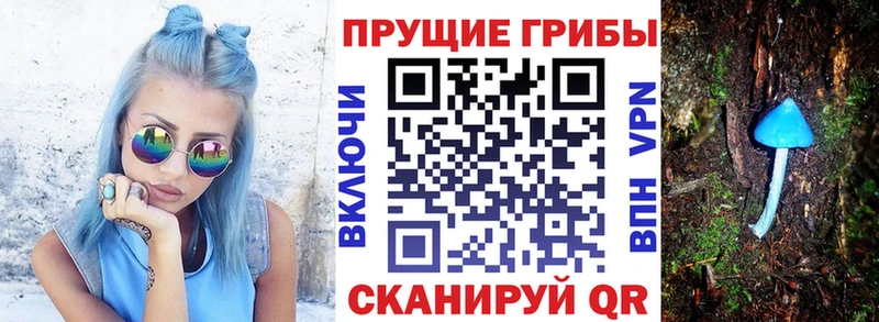 Псилоцибиновые грибы прущие грибы  закладка  Верхоянск 